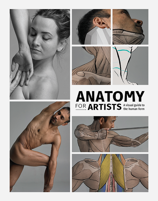 White book cover showing different anatomy poses and showing detailed muscle groups saying 'Anatomy for Artists'