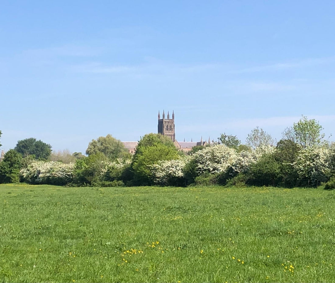 From book chapters to muddy chapters