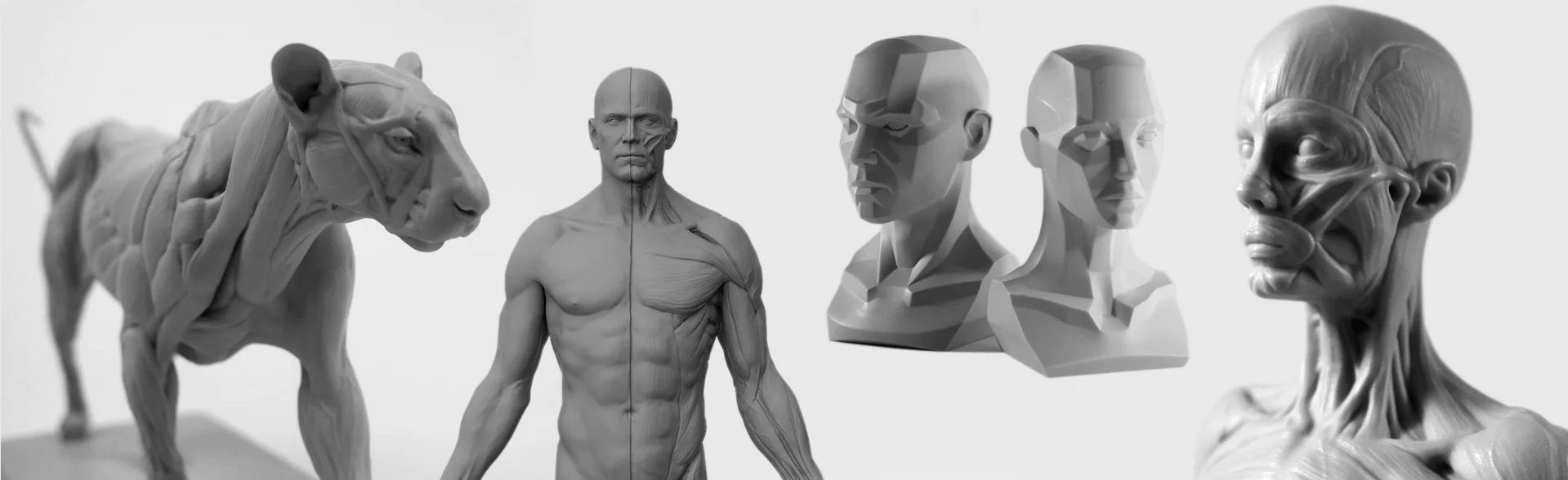 Human Reference For 3d Modeling