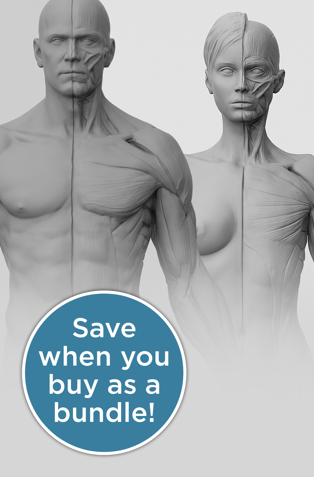3dtotal Anatomy: 2 piece male & female half-écorché figure set