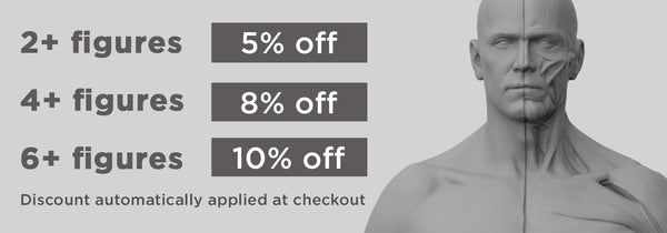 Anatomy Figure Multibuy Offer: get 5% off when buying 2-3, 8% off when buying 4-5, 10% off when buying 6+