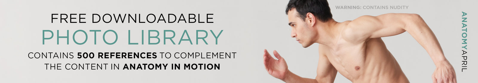 Free Anatomy Photo Library