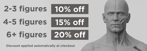 Anatomy Figure Multibuy Offer: get 10% off when buying 2-3, 15% off when buying 4-5, 20% off when buying 6+