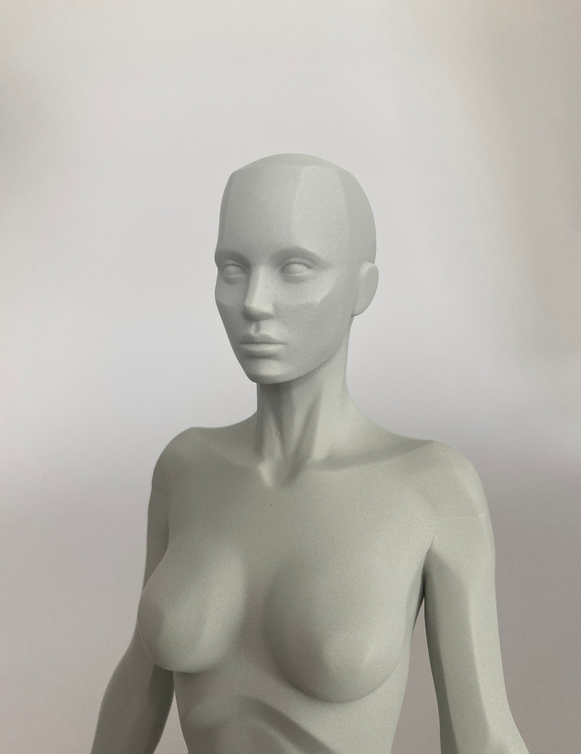 Free B-grade anatomy figure while stocks last