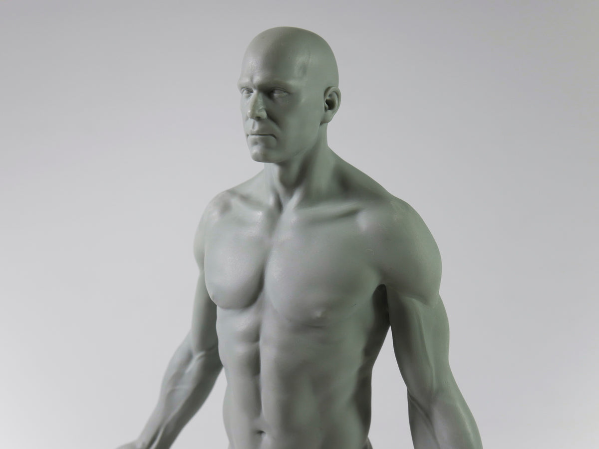 Free B-grade anatomy figure while stocks last