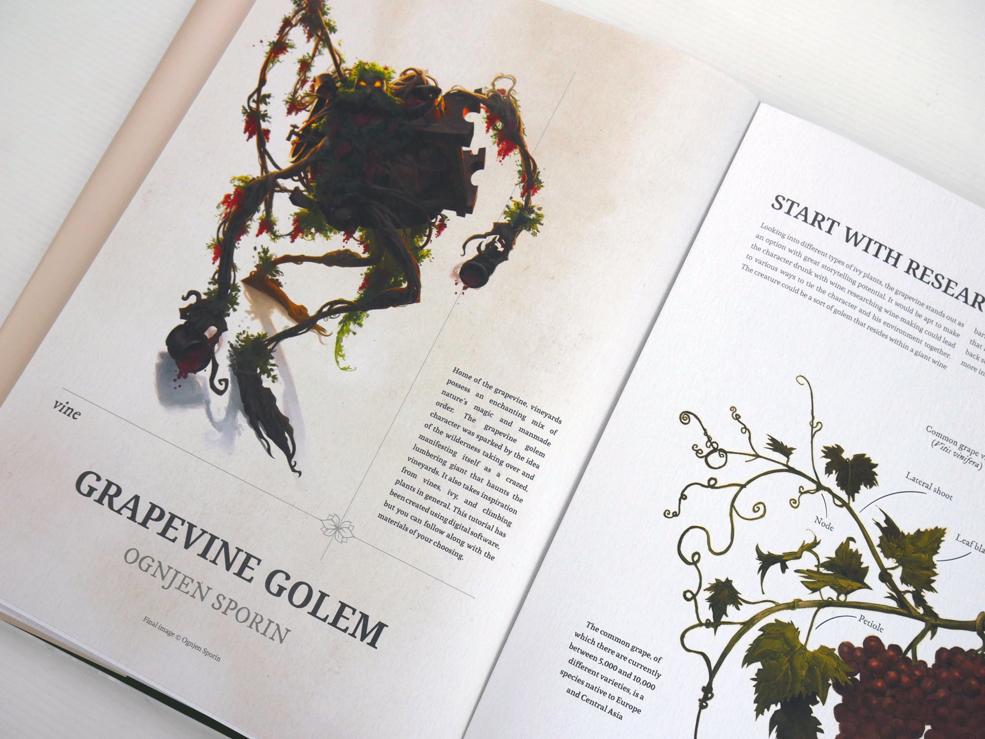 Inspired By Nature: A Guide to Designing Botanical Characters