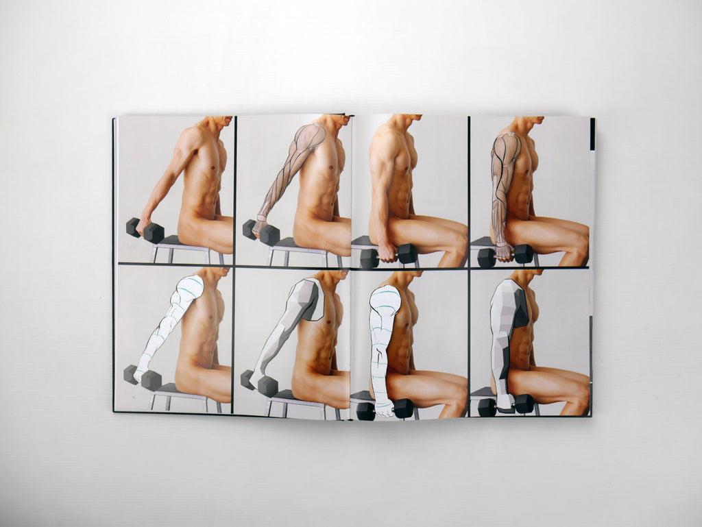 Anatomy in Motion: An Artist's Guide to Capturing Dynamic Movement