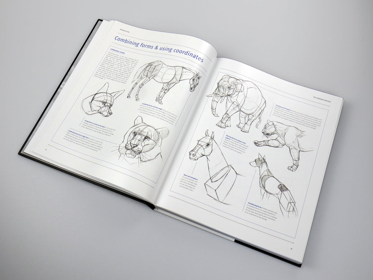 Animal Anatomy for Artists: A visual guide to the animal form – 3dtotal ...