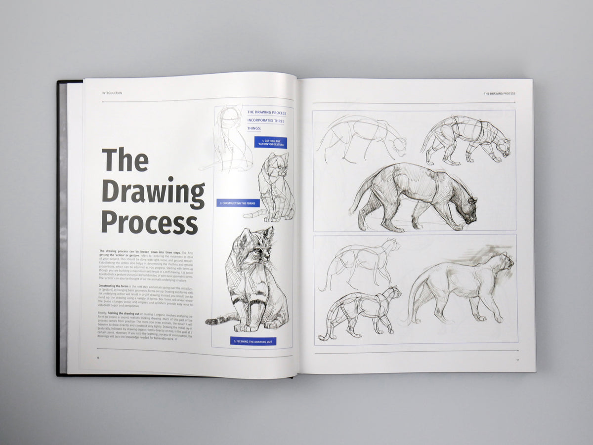 Approach Animal Drawing How To Draw Perspective Animals