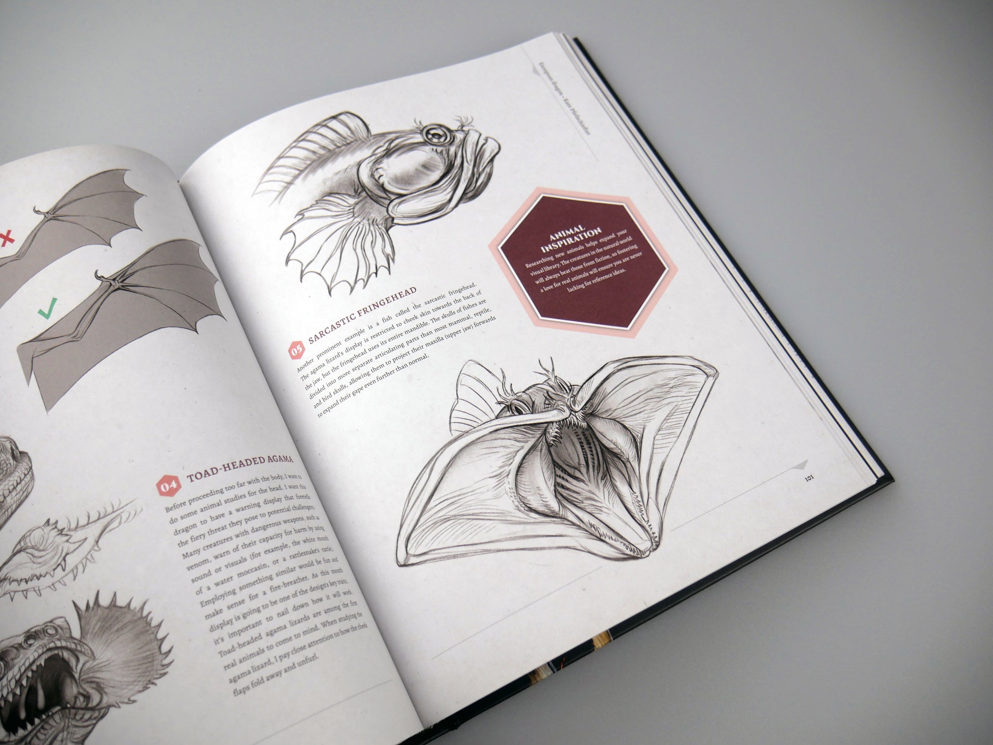 Designing Dragons: An artist's guide to the legendary mythical creatures
