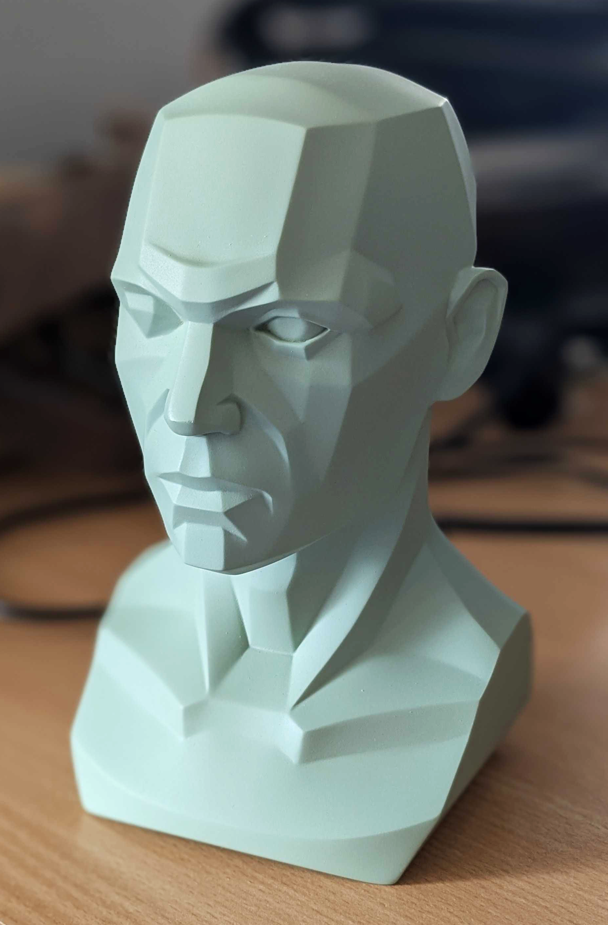 3dtotal Anatomy: Male planar bust