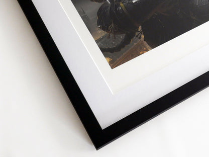 Framed Print and Book Signed by Guweiz