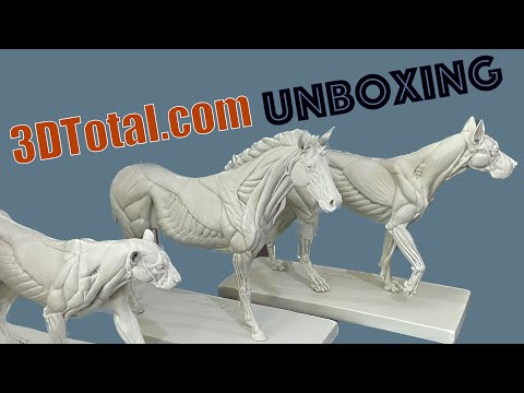 3dtotal Anatomy: 3 piece set of animal figures