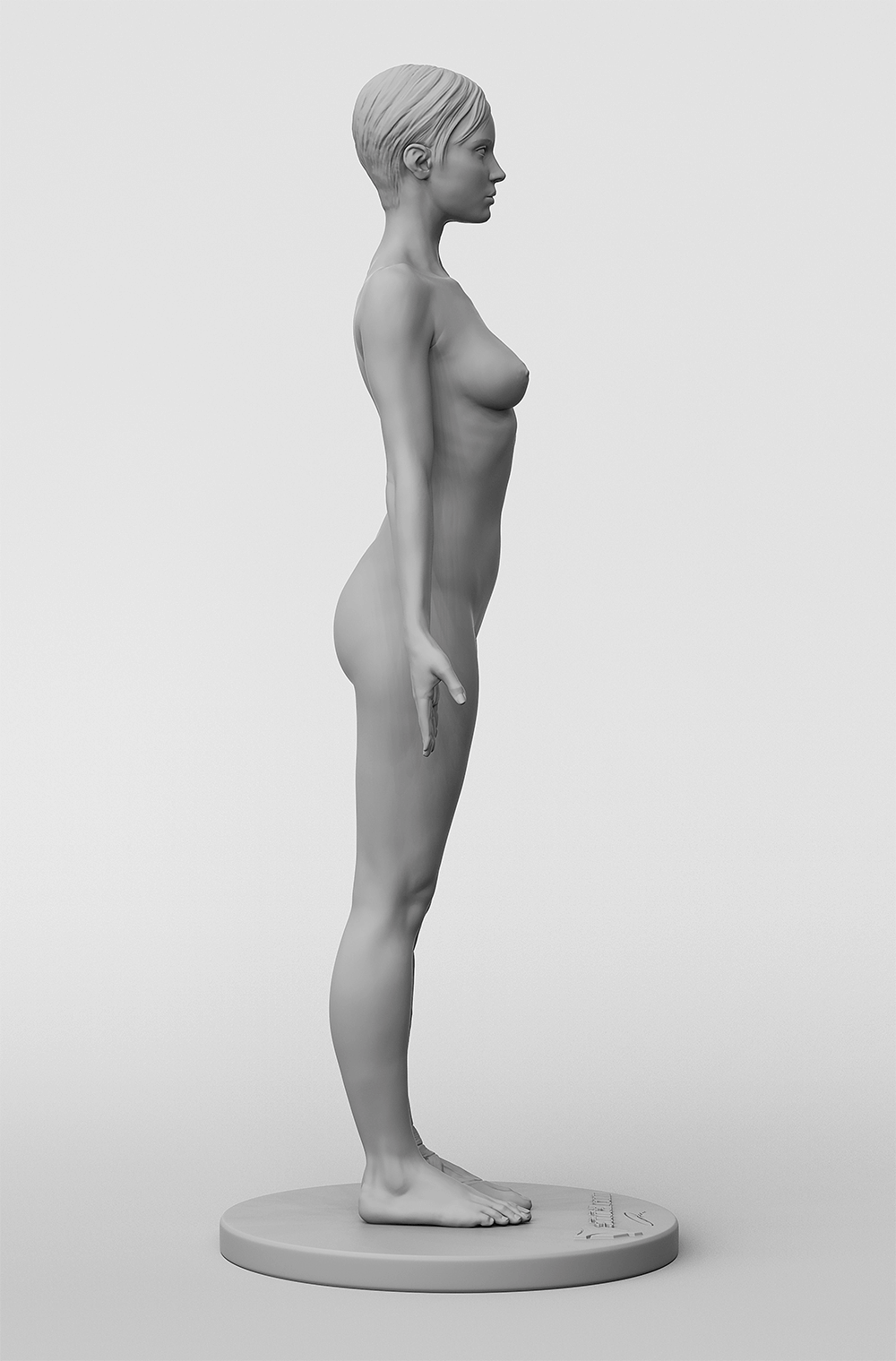 3dtotal Anatomy: female half-écorché figure
