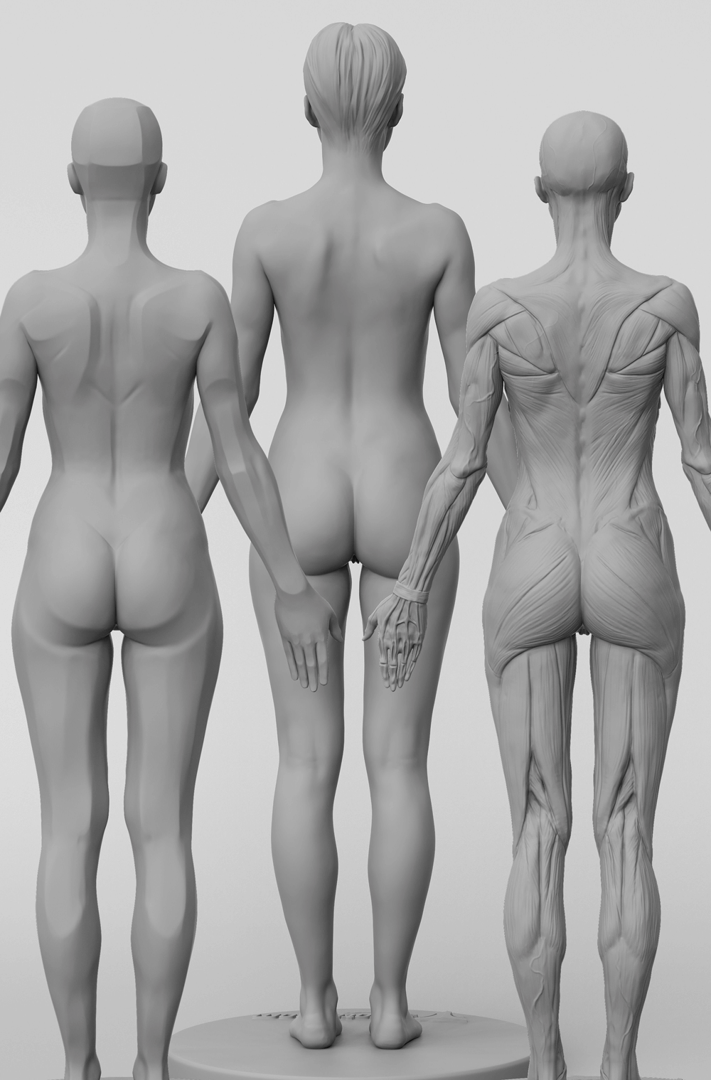 3dtotal Anatomy: 3 piece set of female figures – 3dtotal shop