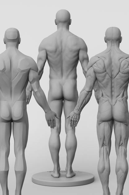 3dtotal Anatomy: 3 piece set of male figures
