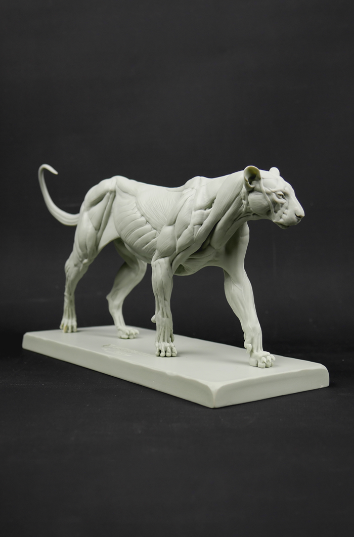 3dtotal Anatomy: 3 piece set of animal figures