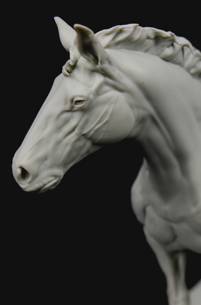3dtotal Anatomy: Equine figure