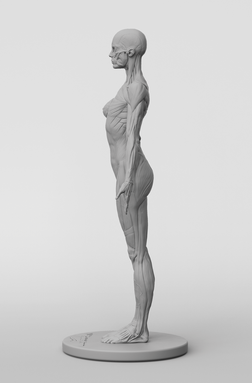 3dtotal Anatomy: female full-écorché figure