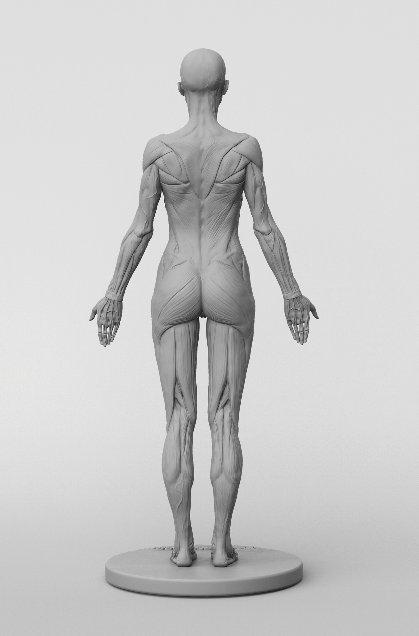 3dtotal Anatomy: female full ecorche figure