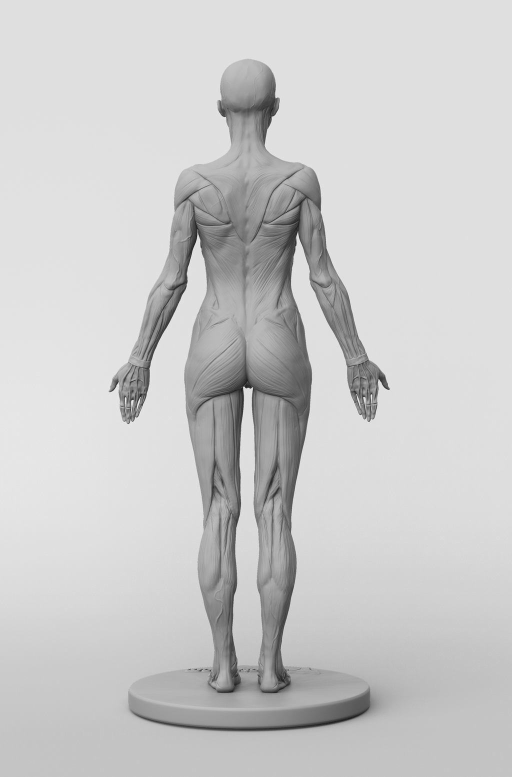 3dtotal Anatomy: female full-écorché figure