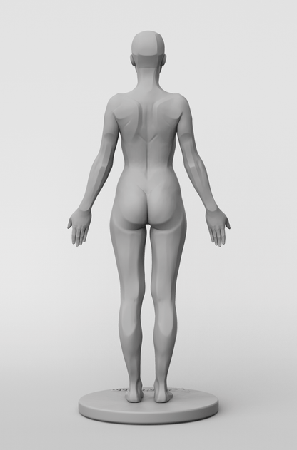 3dtotal Anatomy: female planar figure