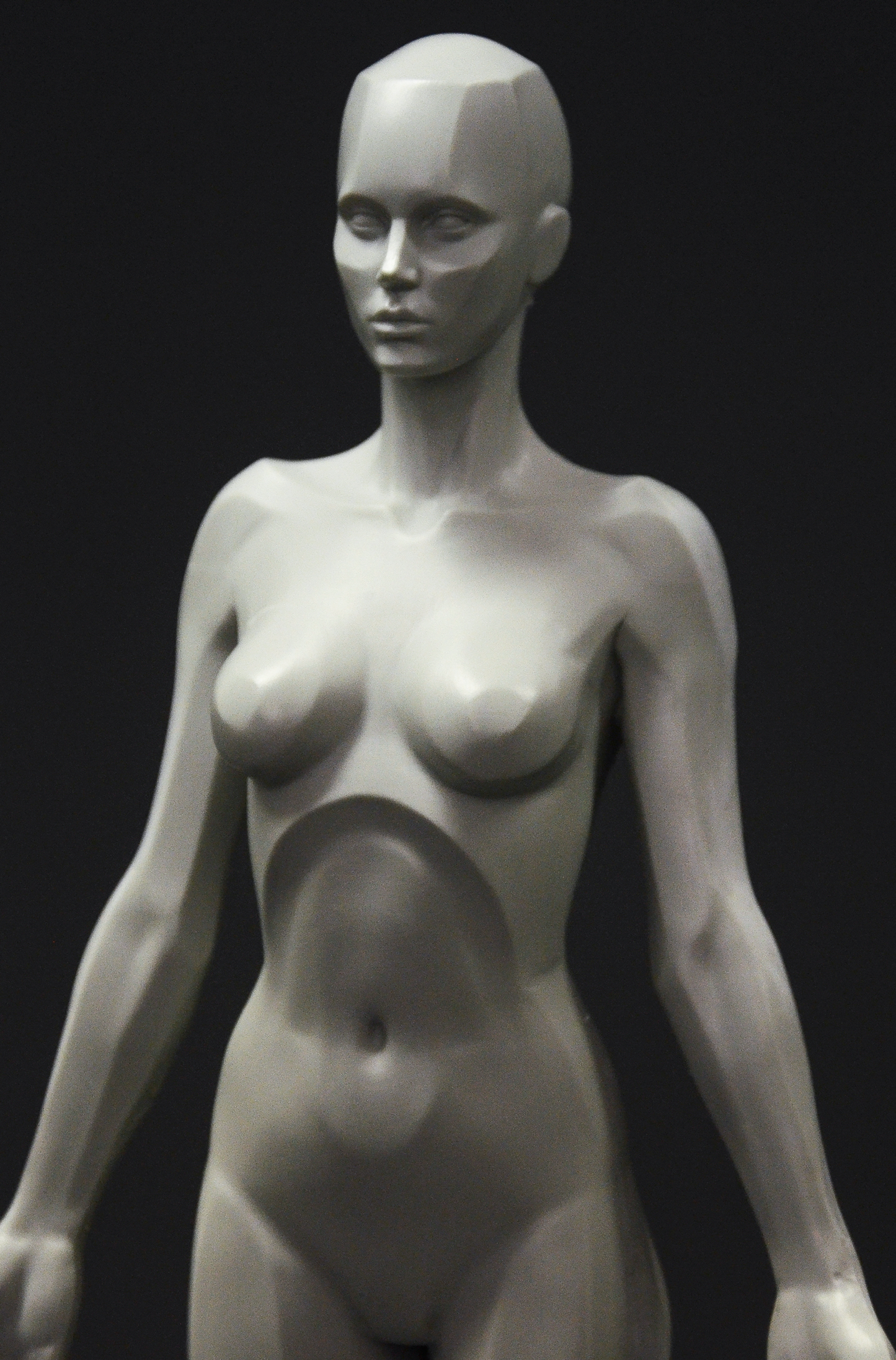 3dtotal Anatomy: female planar figure