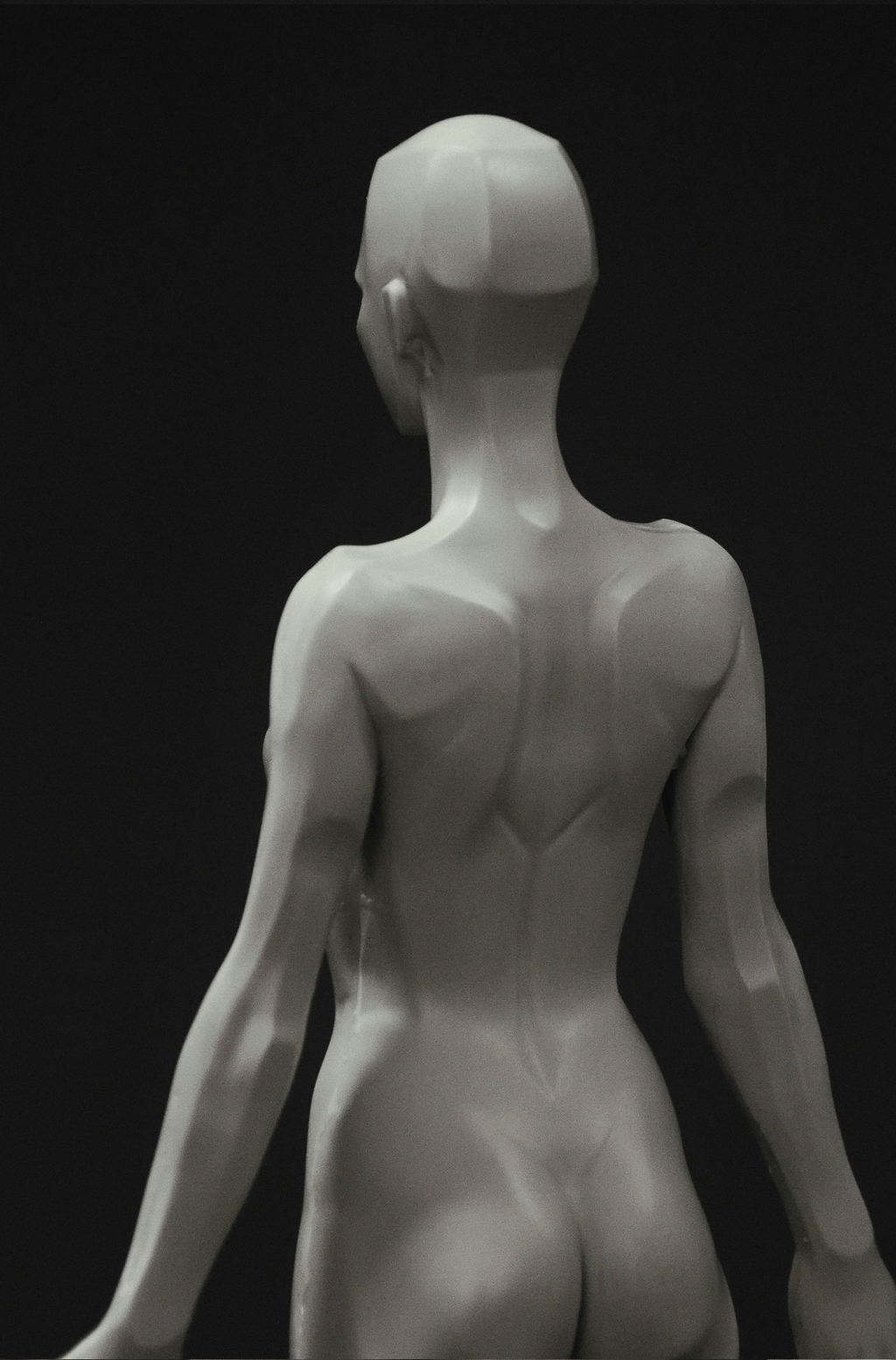 3dtotal Anatomy: female planar figure