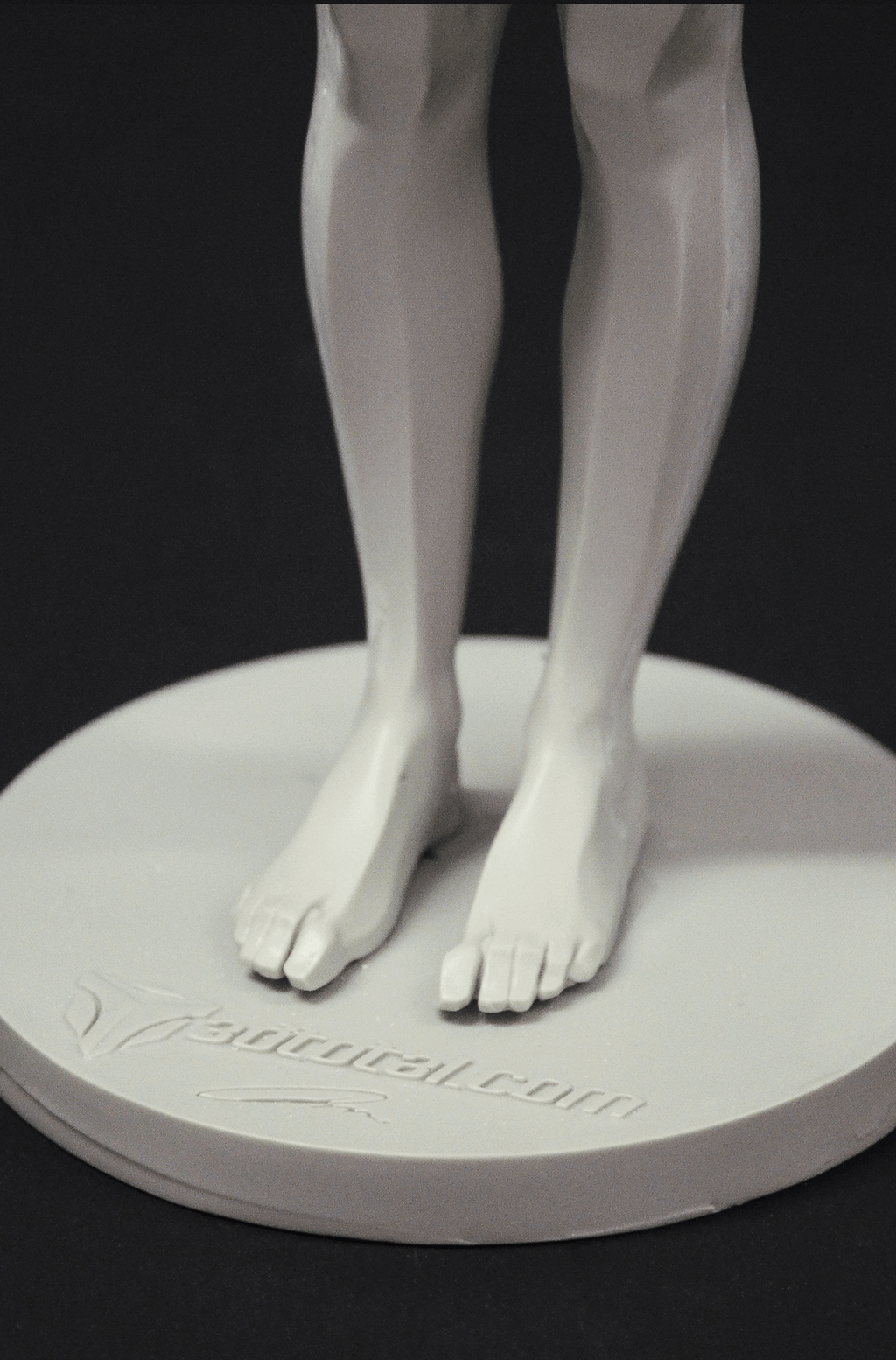 3dtotal Anatomy: female planar figure