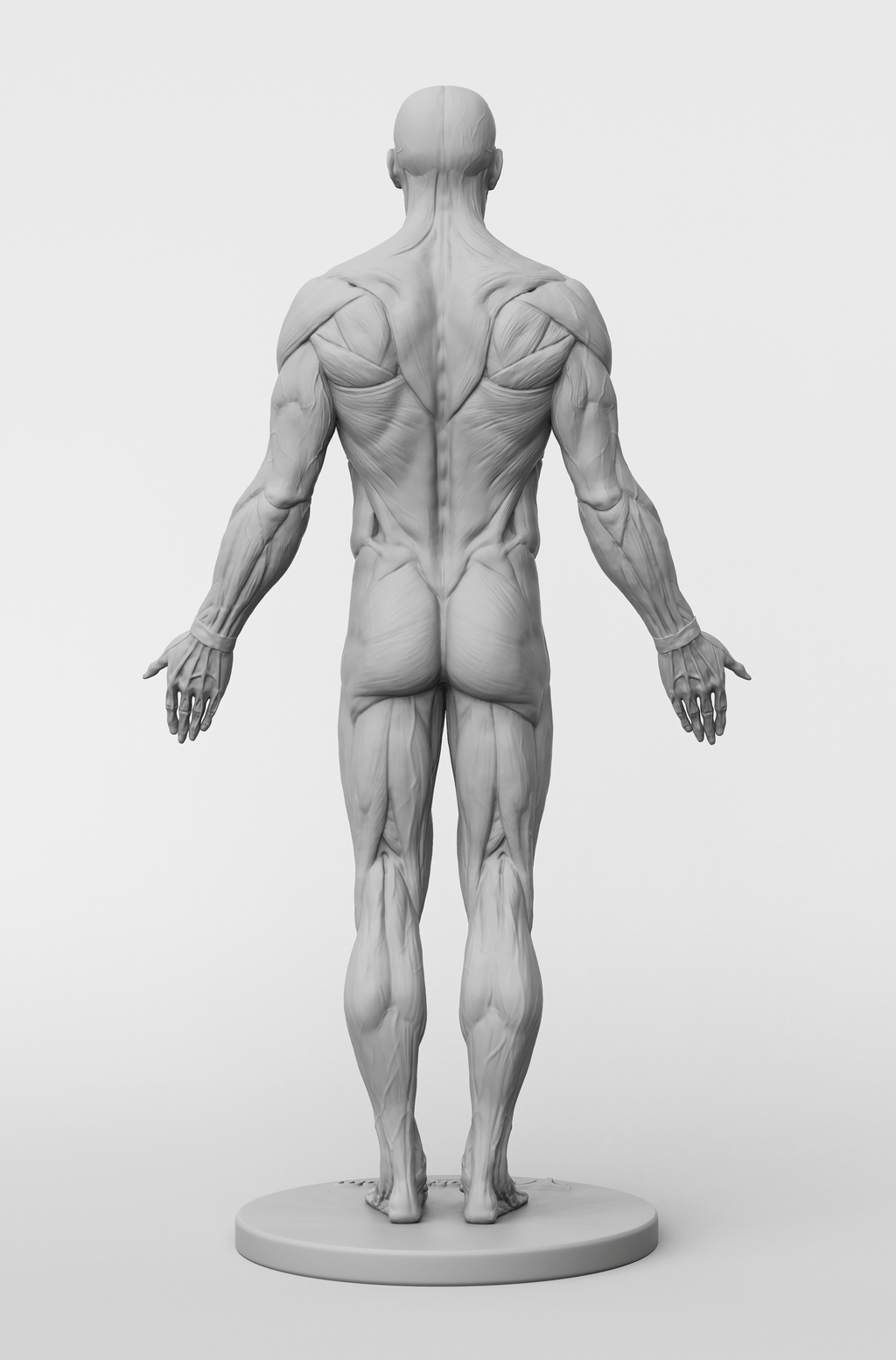 3dtotal Anatomy: male full-écorché figure