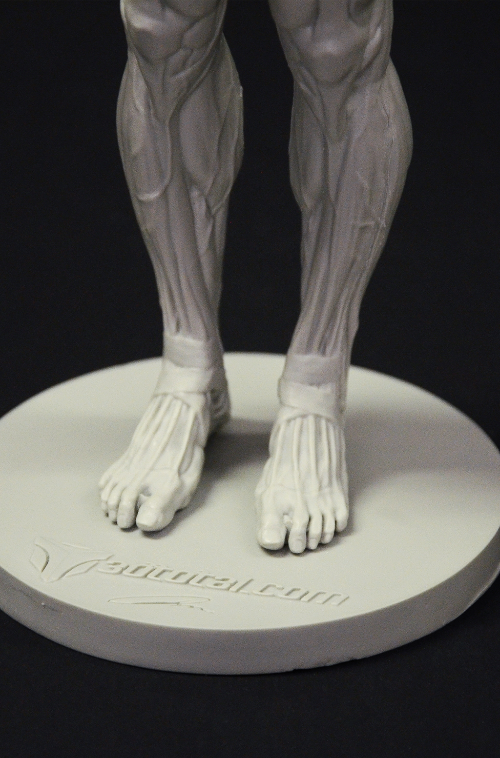 3dtotal Anatomy: male full-écorché figure