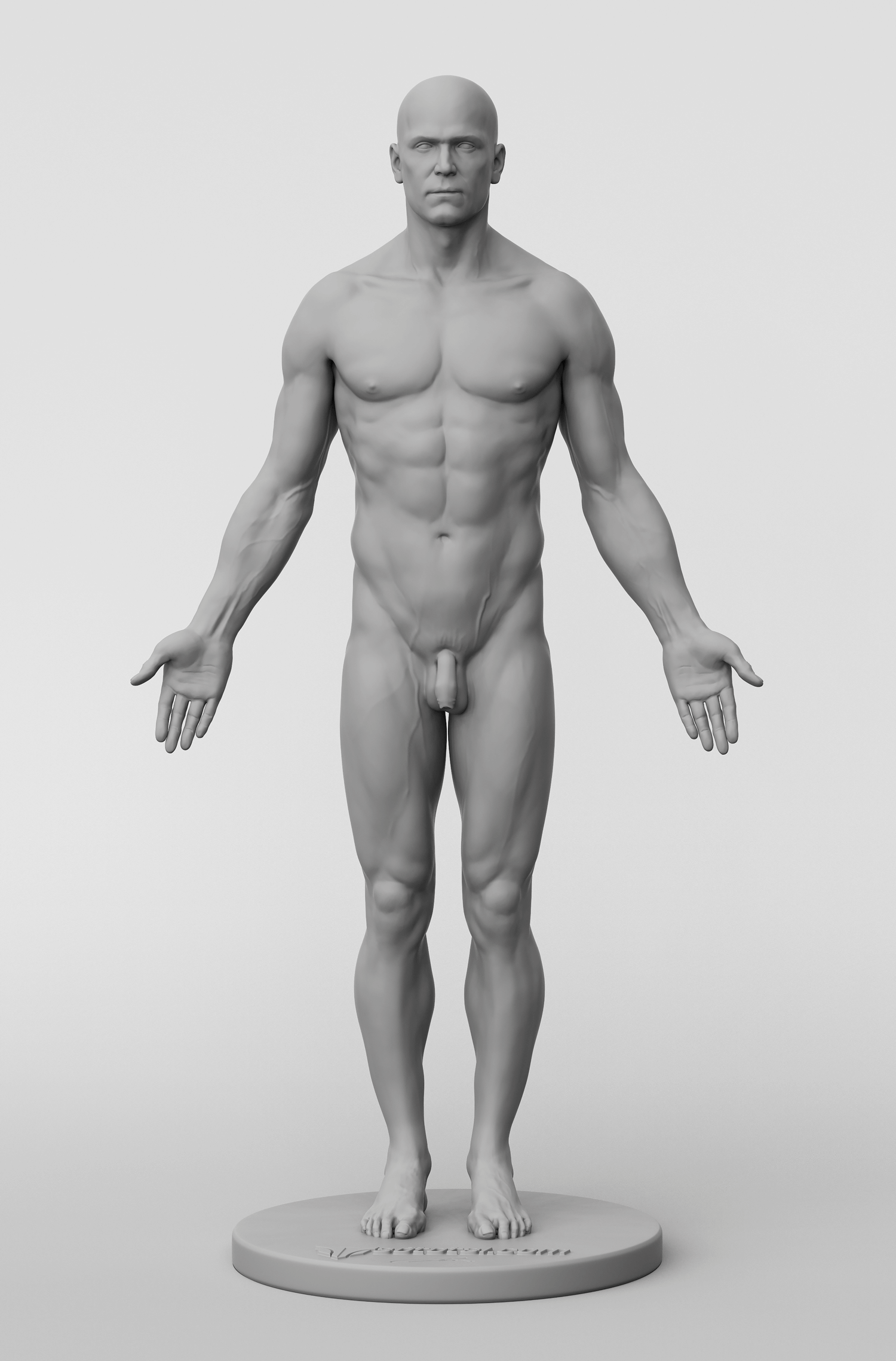 3d male figure