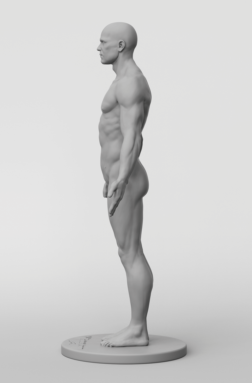 3dtotal Anatomy: male full-skin figure