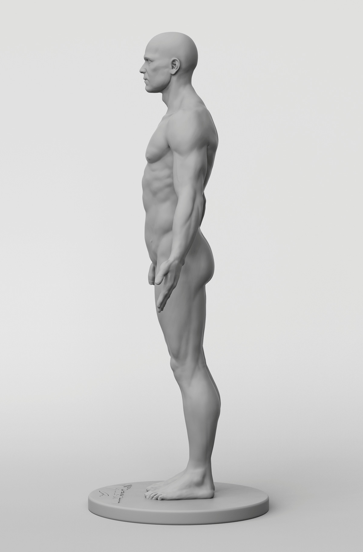 3dtotal Anatomy: male full-skin figure
