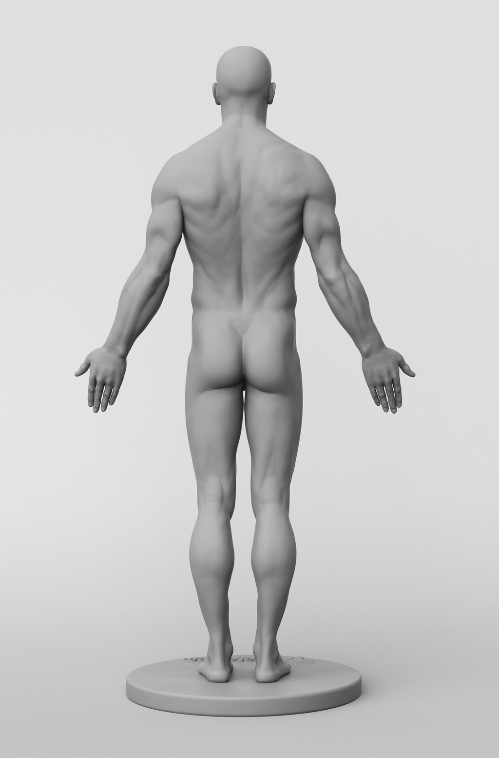 3dtotal Anatomy: male full-skin figure