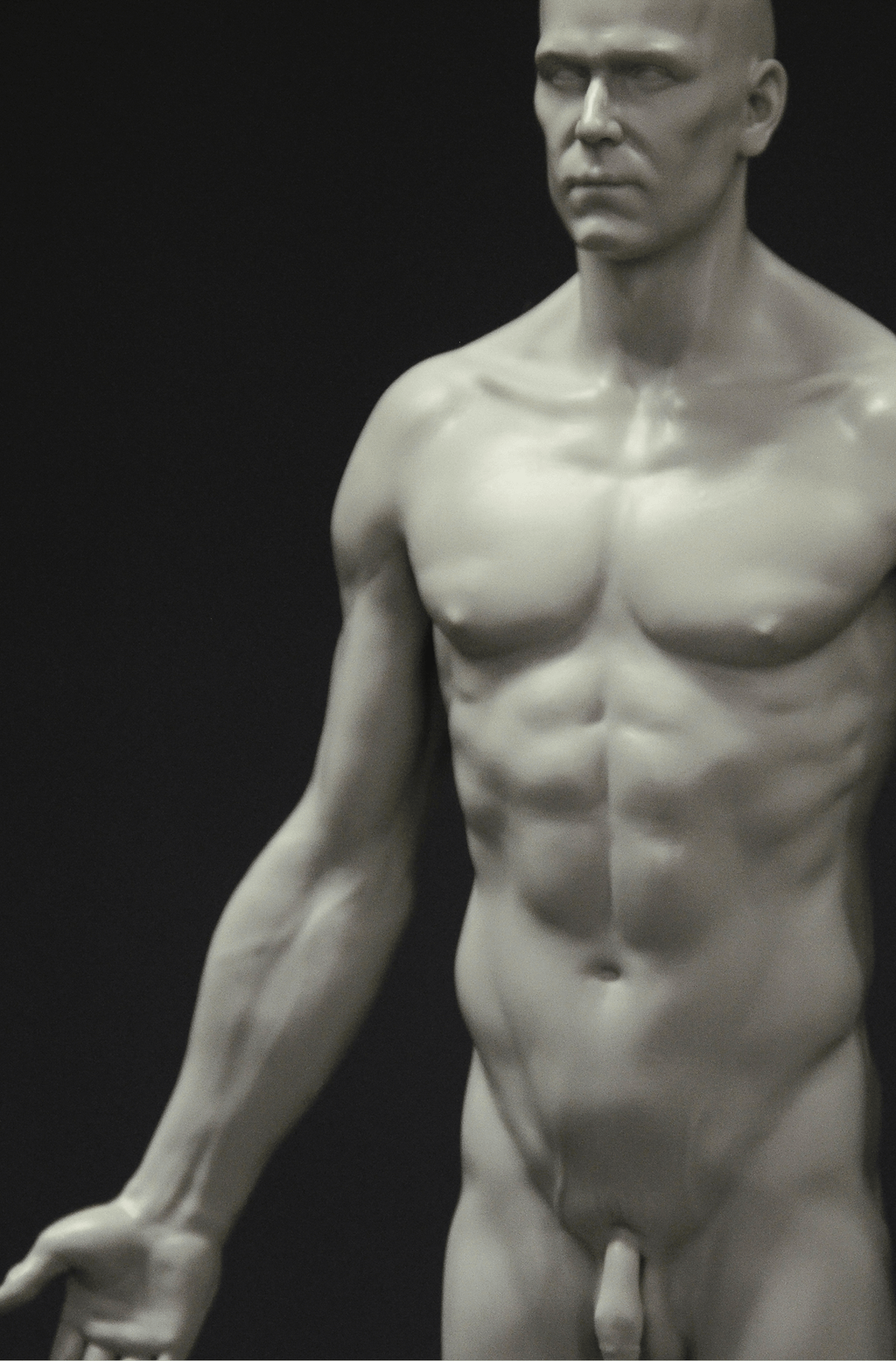 3dtotal Anatomy: male full-skin figure