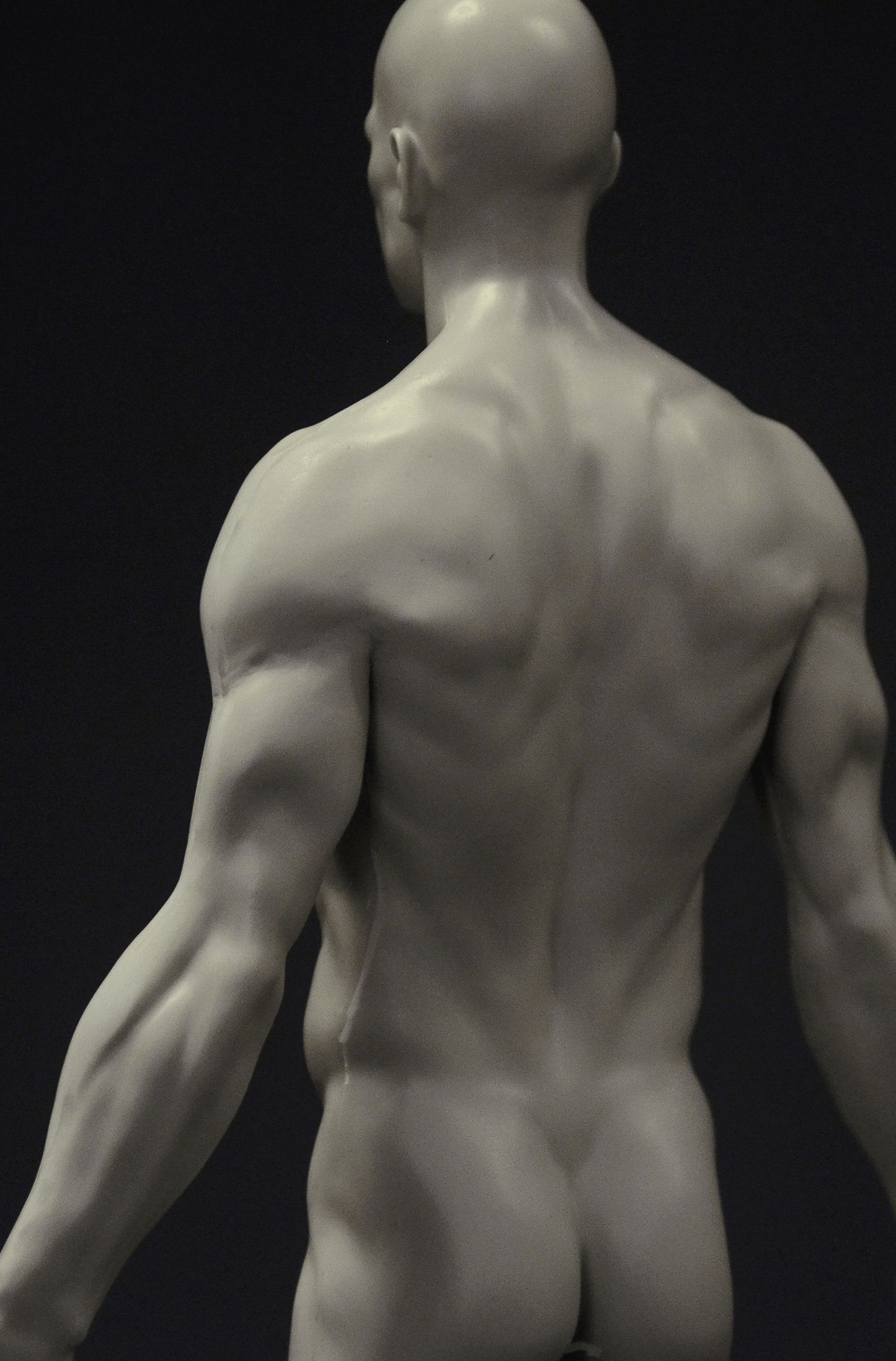 3dtotal Anatomy: male full skin figure