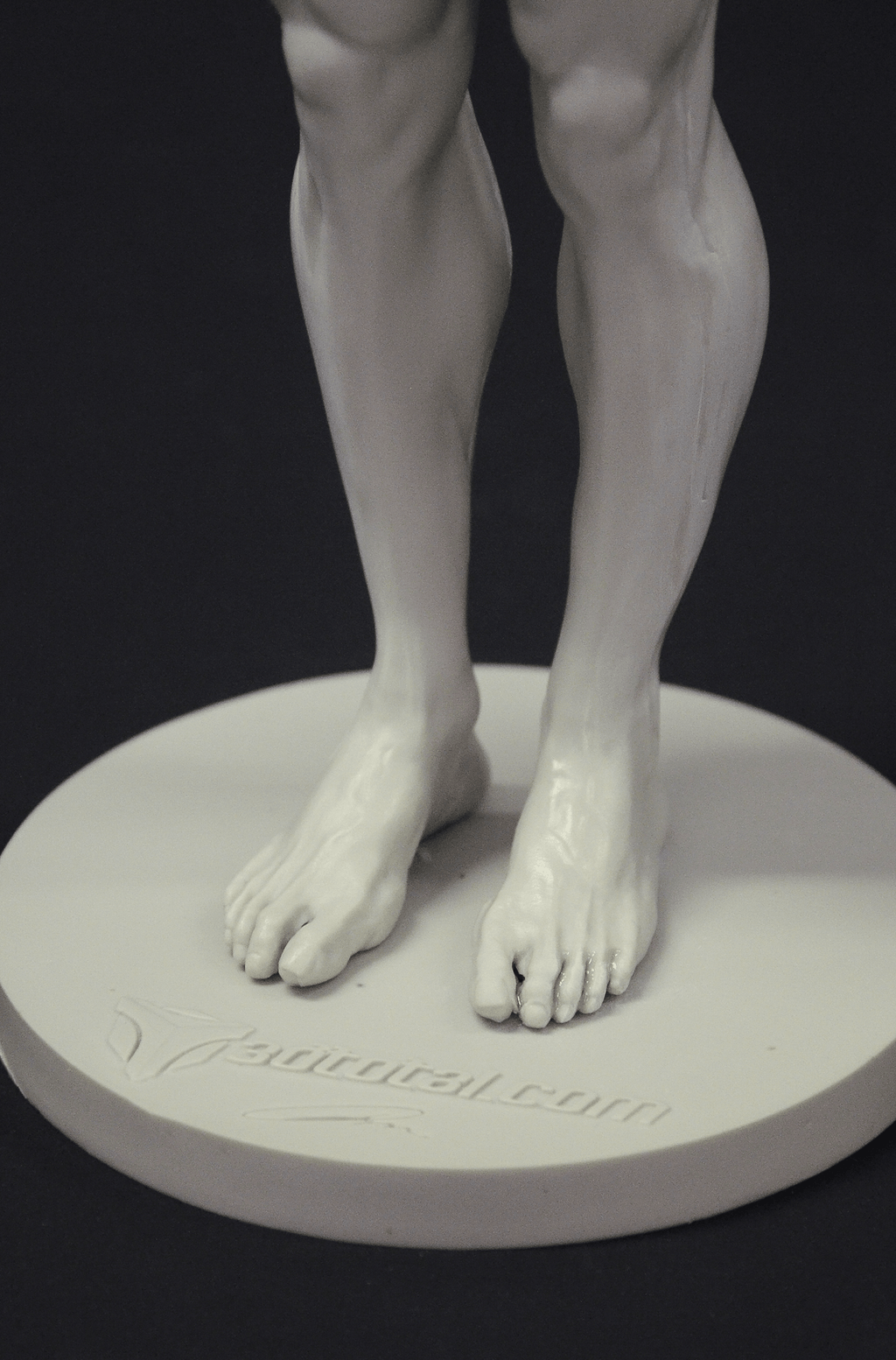 3dtotal Anatomy: male full-skin figure