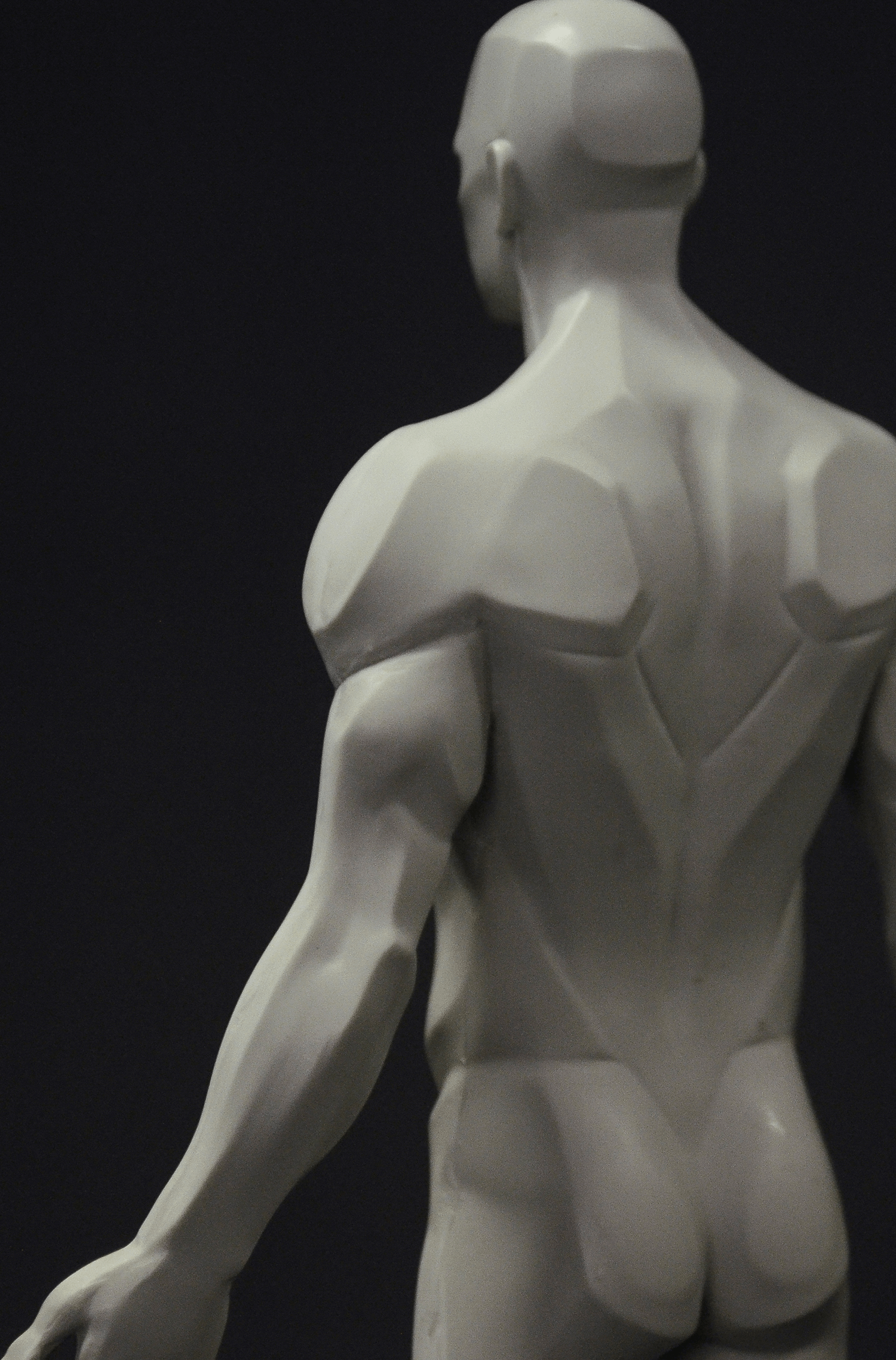3dtotal Anatomy: male planar figure – 3dtotal shop