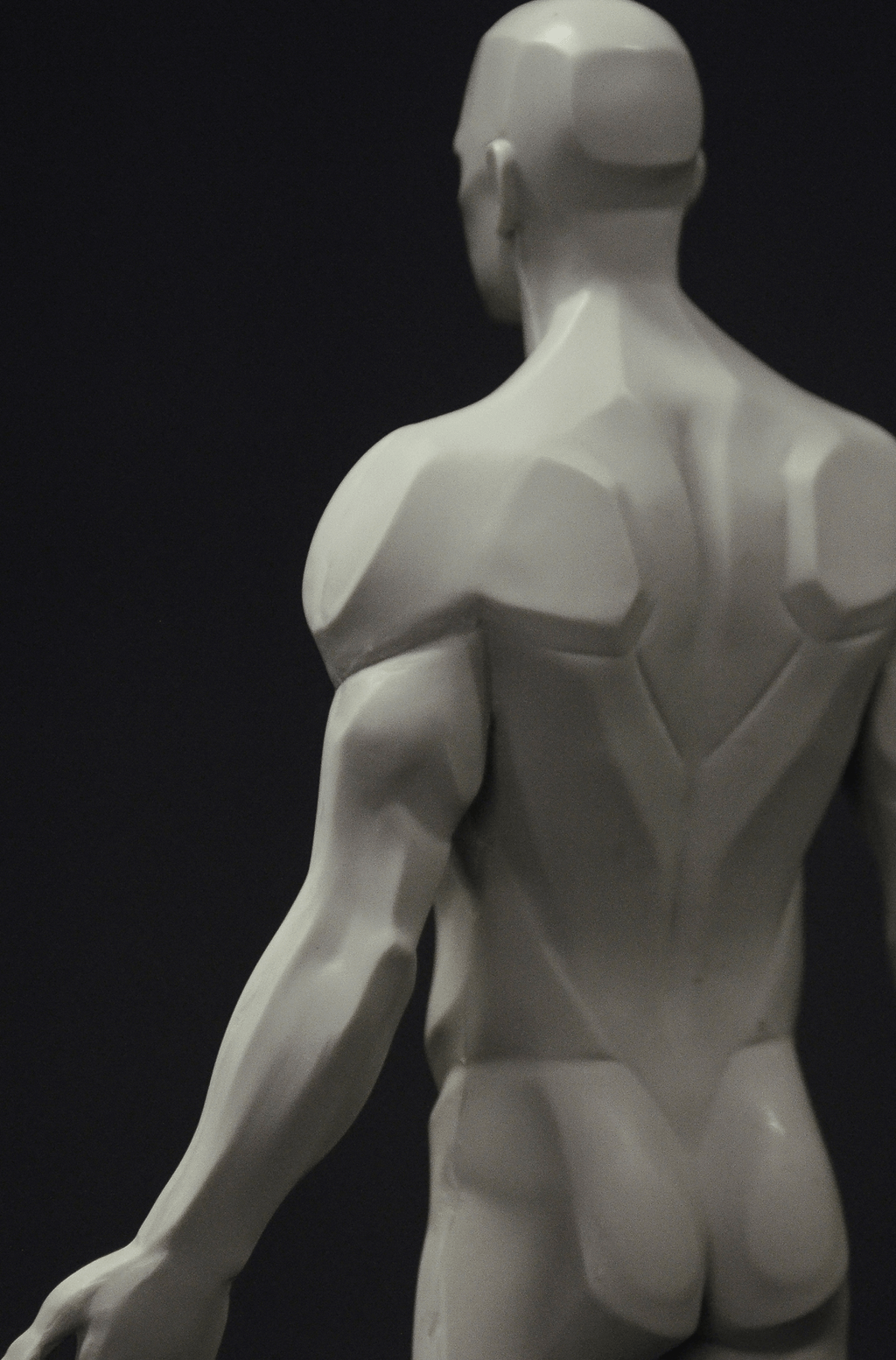 3dtotal Anatomy: male planar figure
