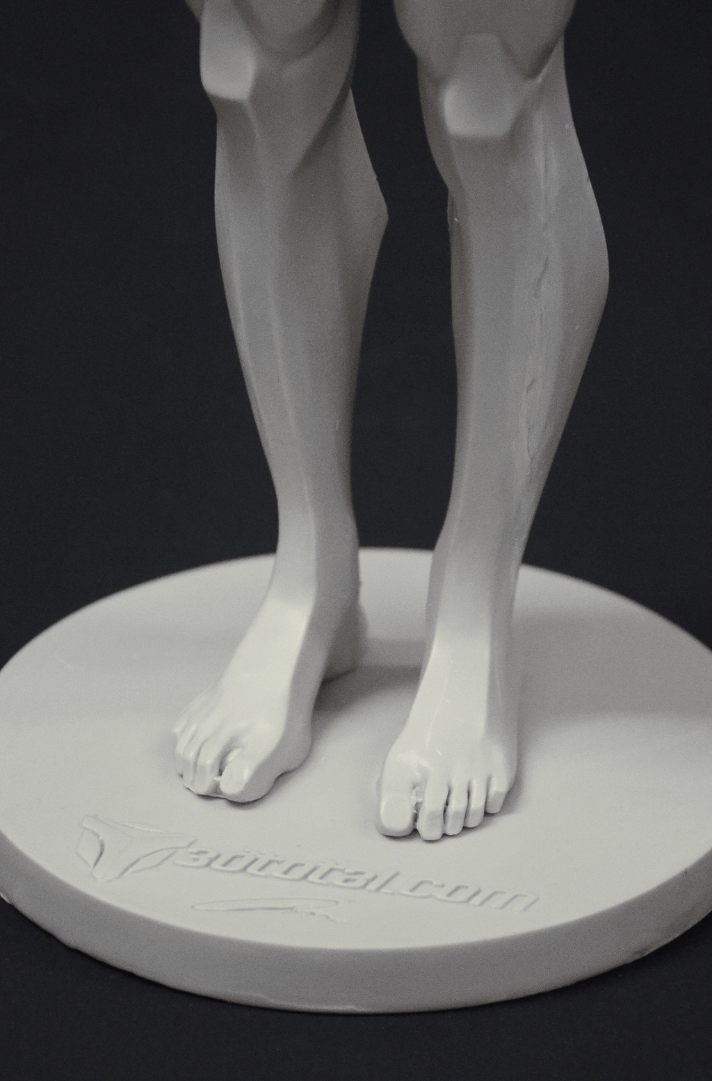 3dtotal Anatomy: male planar figure