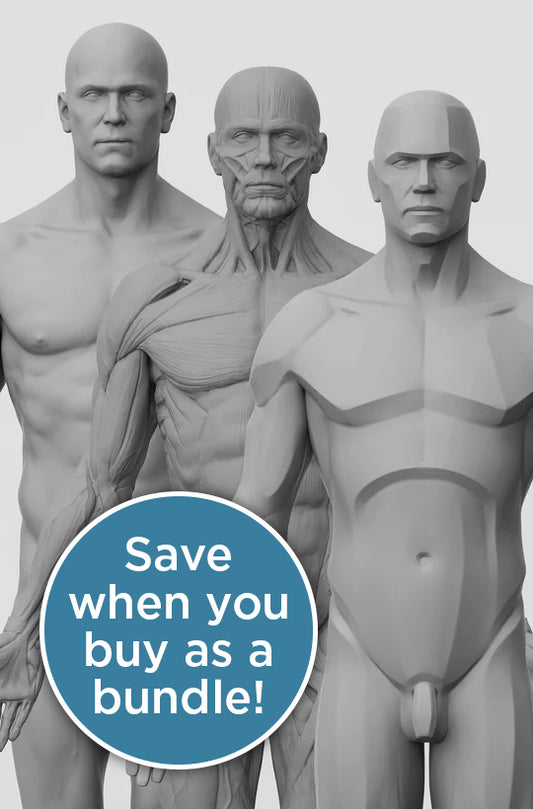 a set of 3D figures detailing the anatomy of men