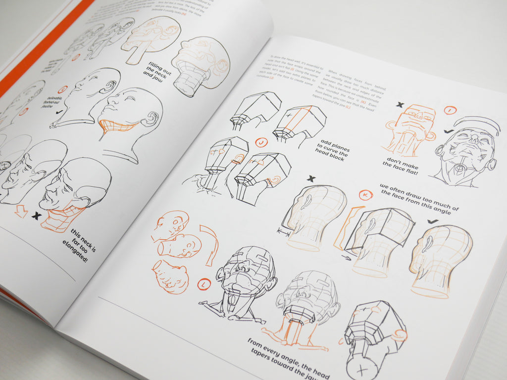 Anatomy for Artists: Drawing Form & Pose