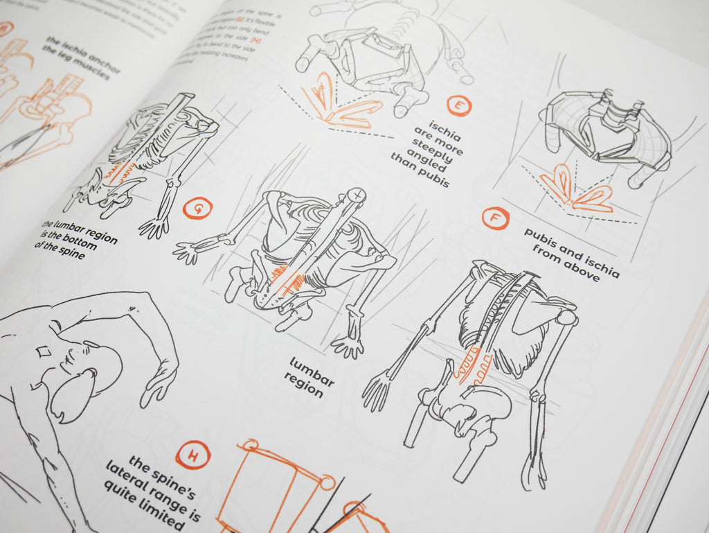 Anatomy for Artists: Drawing Form & Pose