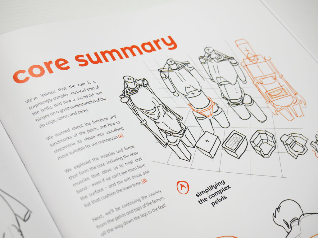 Anatomy for Artists: Drawing Form & Pose