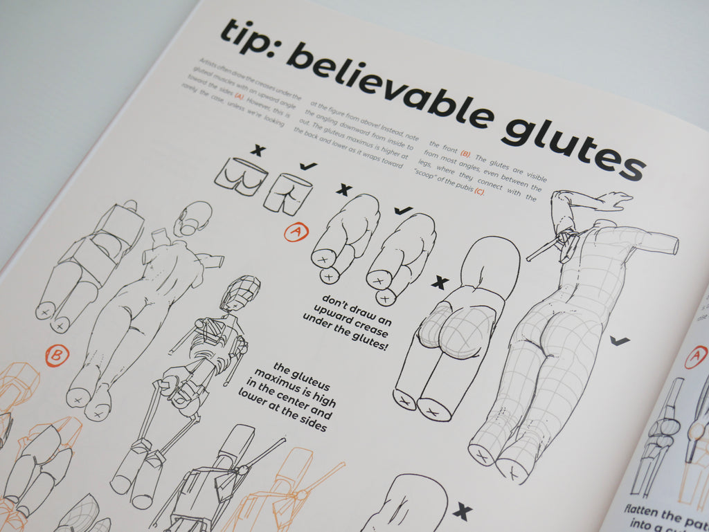 Anatomy for Artists: Drawing Form & Pose