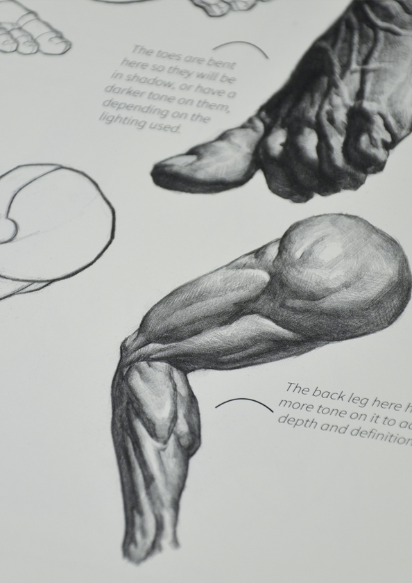 Sketch Workshop: Anatomy