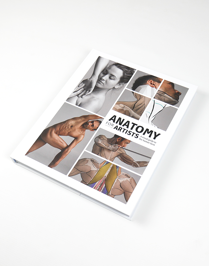 Anatomy for Artists - SAMPLE (Download Only)