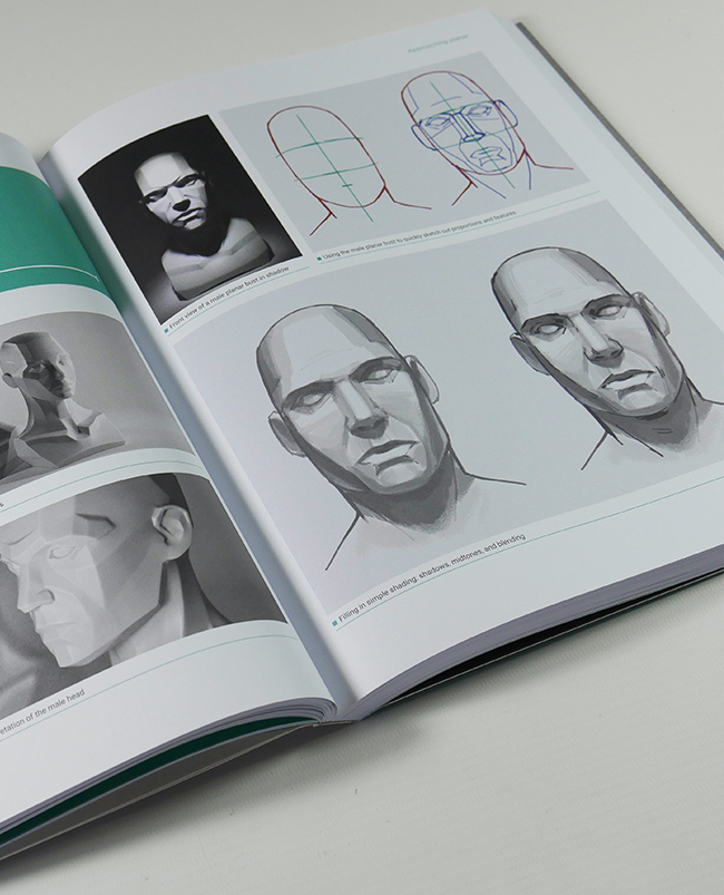 The Artist's Guide to the Anatomy of the Human Head - OUT OF PRINT!