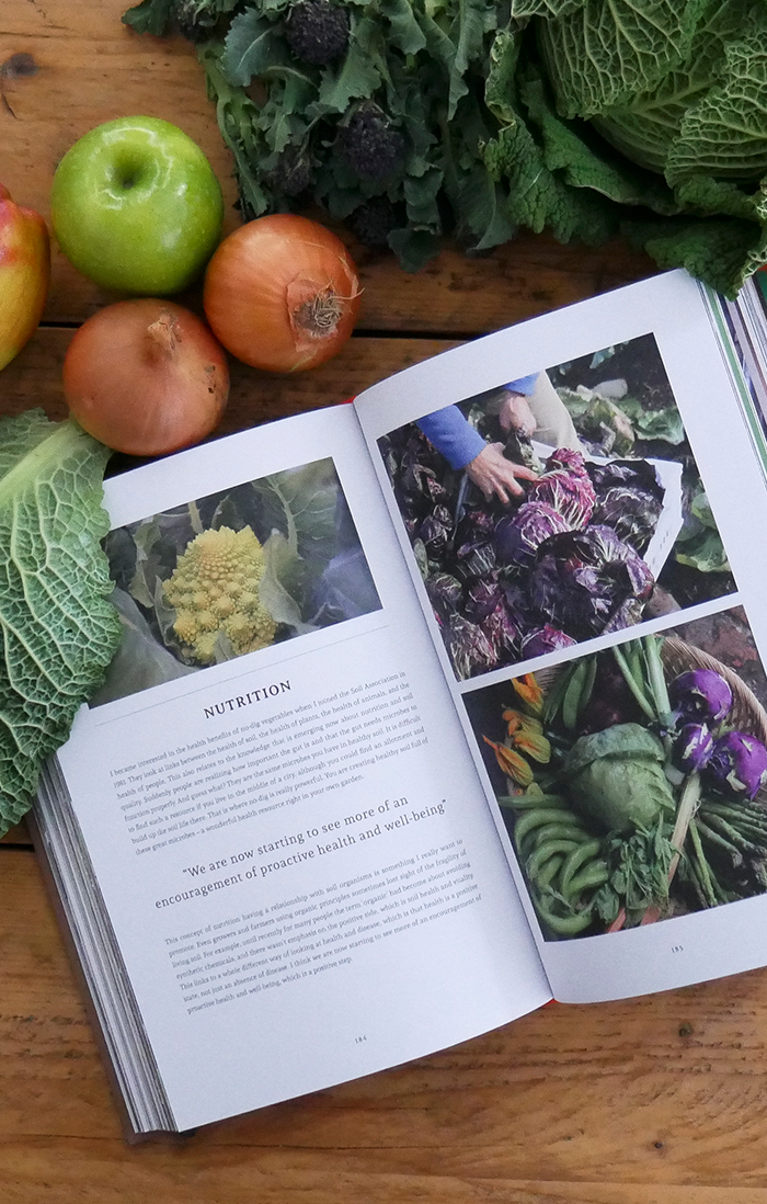 Gather & Nourish - OUT OF PRINT!